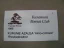 The label for the previous tree.
