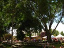 A picture of the park, the stage, benches, and some of the booths, all 
to provide the feel of the festival.
