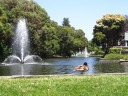 A duck in front of a nice stream with fountains.

