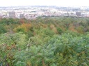 Autumn colors and Montreal's eastern skyline, as seen from a lookout,
Observatoire de l'Est, on Parc du Mont-Royal.  Parc du Mont-Royal
resides on a hilltop and gave us views of the city throughout the day.
