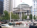 The Place d'Armes.  Across the square is the Bank of Montreal, quite an 
architectural contrast to the basilica immediately behind me.
