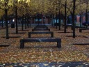 I was stuck by the yellow leaves and the linearity of the trees and
benches so I took a photo (this one) but was disappointed by how it
turned out.  I then fiddled with my camera settings and took another
picture...

