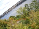 An oblique shot of Fleuve (river) Saint-Laurent with ample foliage in the 
foreground. Excellent.  Turn your monitor.
