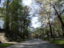 A cute (and not atypical) side street. This one is fairly close to 
Stone Mountain Park.

