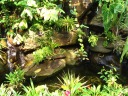 How many glass creatures can you spot? 
Hint: there are at least six.

