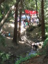 A creek runs through Live Oak Park.
