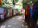 A path of rugs/tapestries.
