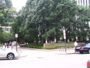 The National Geographic Society has a park in back.  Apologies that the
National Geographic sign is so hard to read in this photo.
