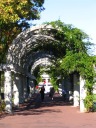 The park has a pleasant, ivy-covered arcade.  Although there were
benches here, they were all in the shade and I wanted to sit in the sun.
