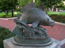 A fun statue of a fish (cod) in City Square Park.

