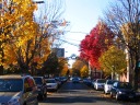 Wooster St, the Italian section of New Haven, is beautiful this time of
year.  And very cold as well...
