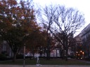 More greenery near MIT, plus one of MIT's funky sculptures.  MIT has a good
number of unusual pieces of campus art.

