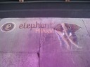 Elephant Pharmacy.
