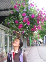 Di Yin stops to smell the flowers.
