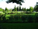 The rose garden as seen from the opposite side.
