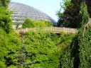 A close-up of the bridge in the trees. Excellent for its novelty.
 The geodesic dome in the background is the floral conservatory.

