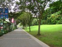 The short non-commercial segment of Orchard Road has manicured grass and
pretty tunnels of trees.

