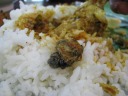 A close-up of an eyeball.  The eyeballs were the most distinctive
difference between a fish head curry and a regular fish curry.  The
eyeballs' outer coating looked and tasted like fat.  The ball itself
tasted like egg.  The center of the ball got harder (calcified?) and was
impossible to eat.  One eyeball and a taste of the outer membrane was
enough for me.

