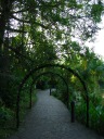 A path near the entrance I used (not the main entrance) into the Singapore Botanic Gardens.  What a
green tunnel!
