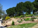 A garden within Andrews Park.
