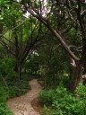 More uncrowded paths to wander.

