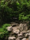 A forested trail guarded by rocks.

