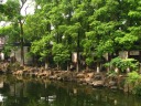 A lovely path along the lake, artistic rocks, and a school of koi.  
Taken from near the Nine Lion Waterside Pavilion.
