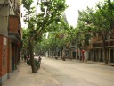 The tree-lined Yuyuan Road has many retail shops.  Although this picture 
doesn't show it, this street has too many cars.  I think the lilong 
alleys off this road are a good way to combine pleasant residences in 
close proximity to big commercial streets.

