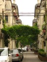 The wide lilong alley at, I believe, 361 Yugucun.


