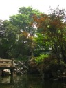 More colorful trees and a rock sculpture.

