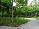 Another example of the park's feel.

