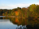 A close-up of the foliage along one side of the reservoir.
 If the last picture was excellent, this one must be too.
