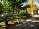 Farther along the fence.

Taken on October 29.
