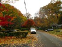 A typical leafy residential street I went running on.  Taken on
November 1.
