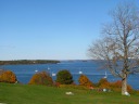 Grass near autumn trees, water, and sailboats: a great spot for a picnic.

