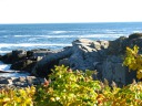 The type of rocky coastline common in northeast New England.

