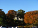 I think the ruins look better peeking through the trees.

