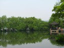 Looking across another pond on the island.  Lots of willow trees on the 
other side.
