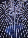 Within the giant Christmas tree, globes hung from the ceiling twinkled.  
The effect, shown in this movie, is magical.  I tried to move to the
camera a bit so you can see how they're hung at different heights.
