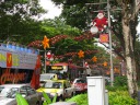 Orchard Road decorated for the holidays.

