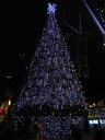 A giant Christmas tree on Orchard Road.
