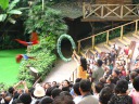 Two hornbills flew through the hoop at the same time.
