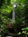 The waterfall itself.

