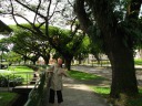 Di Yin clucking like a chicken.  I took this picture on the walk to the
Clementi metro station from the house we were staying in.  I love
Singapore's trees: not only are they large and provide shade, but they're
also pretty.
