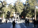 A panoramic movie of the Imperial Garden (Yuhuayuan).  The narration is 
the coworker I was exploring with.


