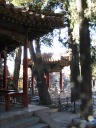 Another panoramic movie of a different part of the Imperial Garden.  If 
you have your speakers on, you can hear music in the background.

