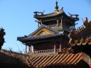 A colorful set of rooftops crowded with animals.

