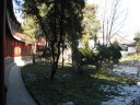 The plantings on the inside of the covered walkway.
