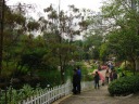 An artificial lake in Hong Kong Park.

