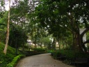 Another road in the park.
